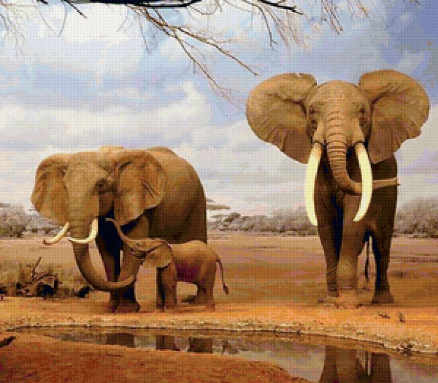 слоны - предпросмотр