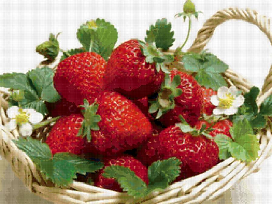 Клубника - клубника - предпросмотр