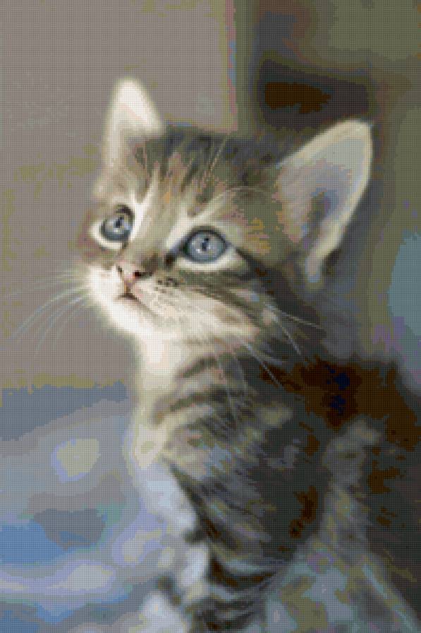 котенок - коты - предпросмотр