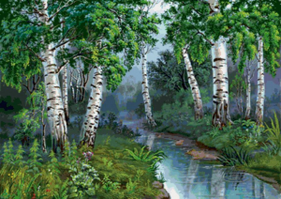 березки - березки, природа - предпросмотр