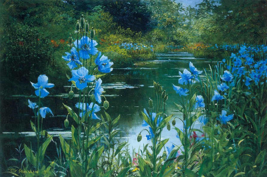 Цветы у реки - река, цветы, пейзаж, озеро, природа - оригинал