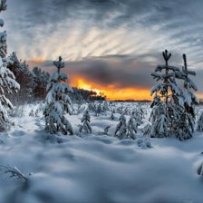 Схема вышивки «Зимний пейзаж»