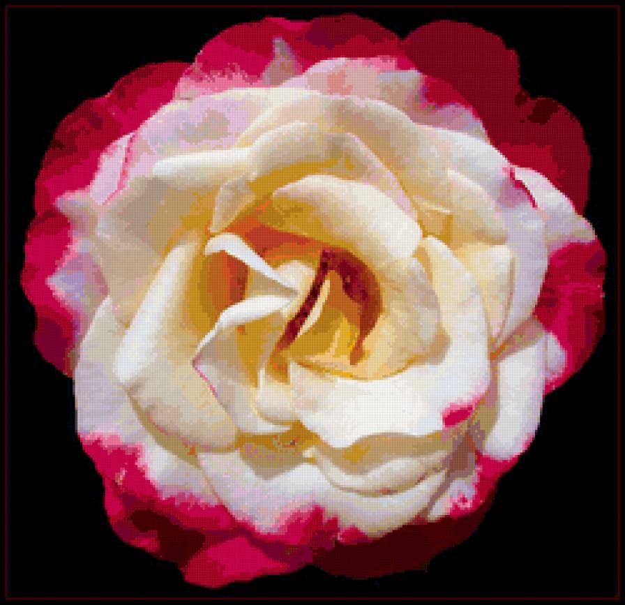 Подушка"Цветы" - подушка, цветы, розы, живопись - предпросмотр