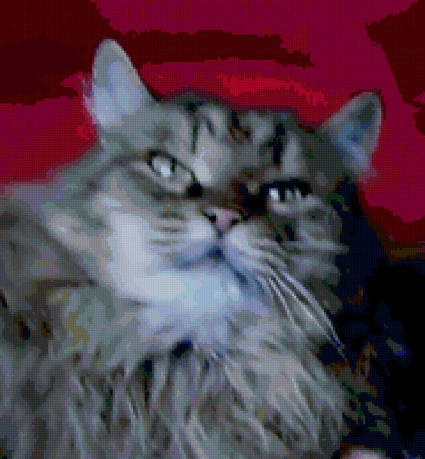 марсик - предпросмотр