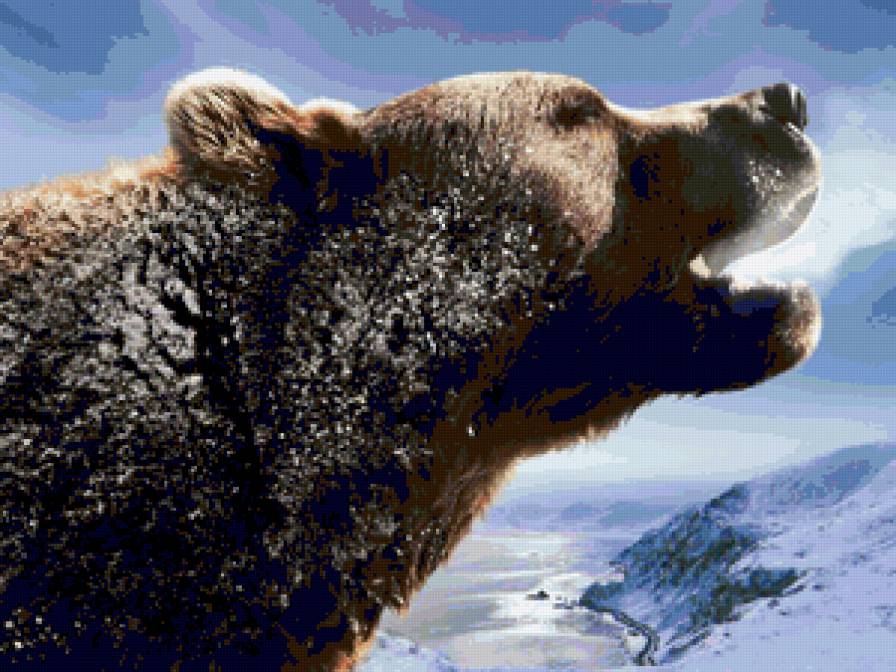 Грозный мишка - животные, медведь - предпросмотр