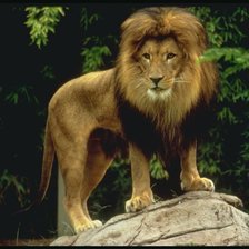 Схема вышивки «№123853»