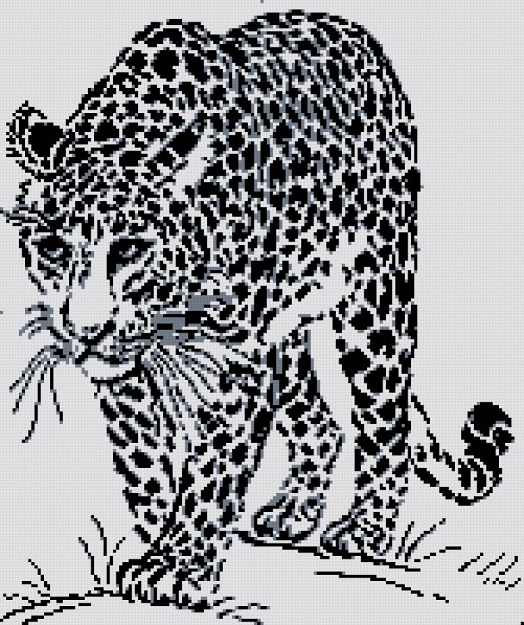 леопард - кошки, черно-белое - предпросмотр