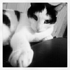 Схема вышивки «№123910»