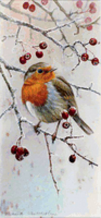 птица - птицы, зима - предпросмотр