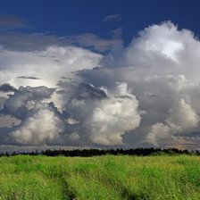 Схема вышивки «поле»