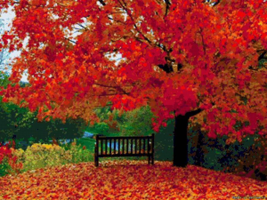Очарование осени - осень, пейзаж - предпросмотр
