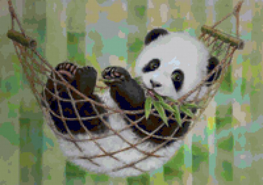панда - животное - предпросмотр