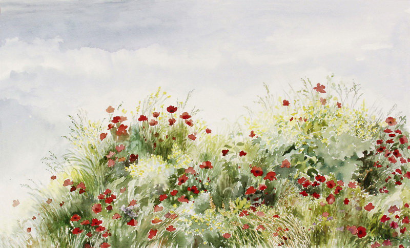 Маки поле - оригинал
