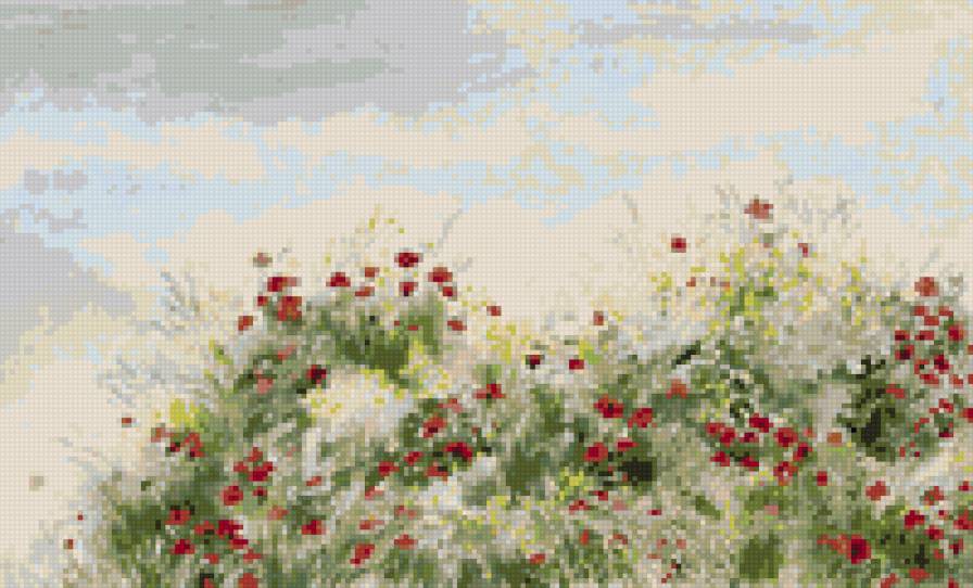 Маки поле - предпросмотр