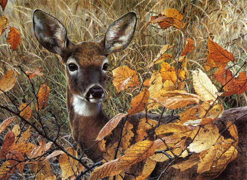 Олень в осеннем лесу - картина, олень, осень, красота, животные - оригинал