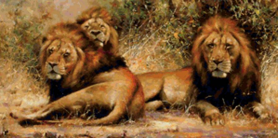 Три брата - львы, саванна, африка, большие кошки, природа, животные - предпросмотр
