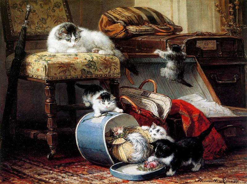 Котята и шляпка - котята, животные, картина - оригинал