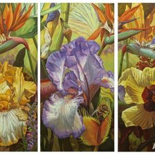Оригинал схемы вышивки «триптих цветы общ. вид» (№125512)