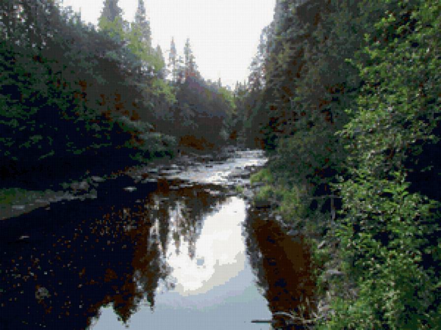 лесной ручей - лес, ручей, лето - предпросмотр