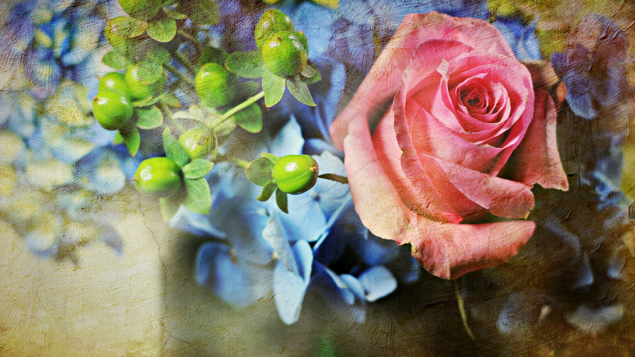 аромат розы - цветок, роза - оригинал