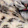 Предпросмотр схемы вышивки «Серия "Дикие кошки" Снежный барс» (№125801)