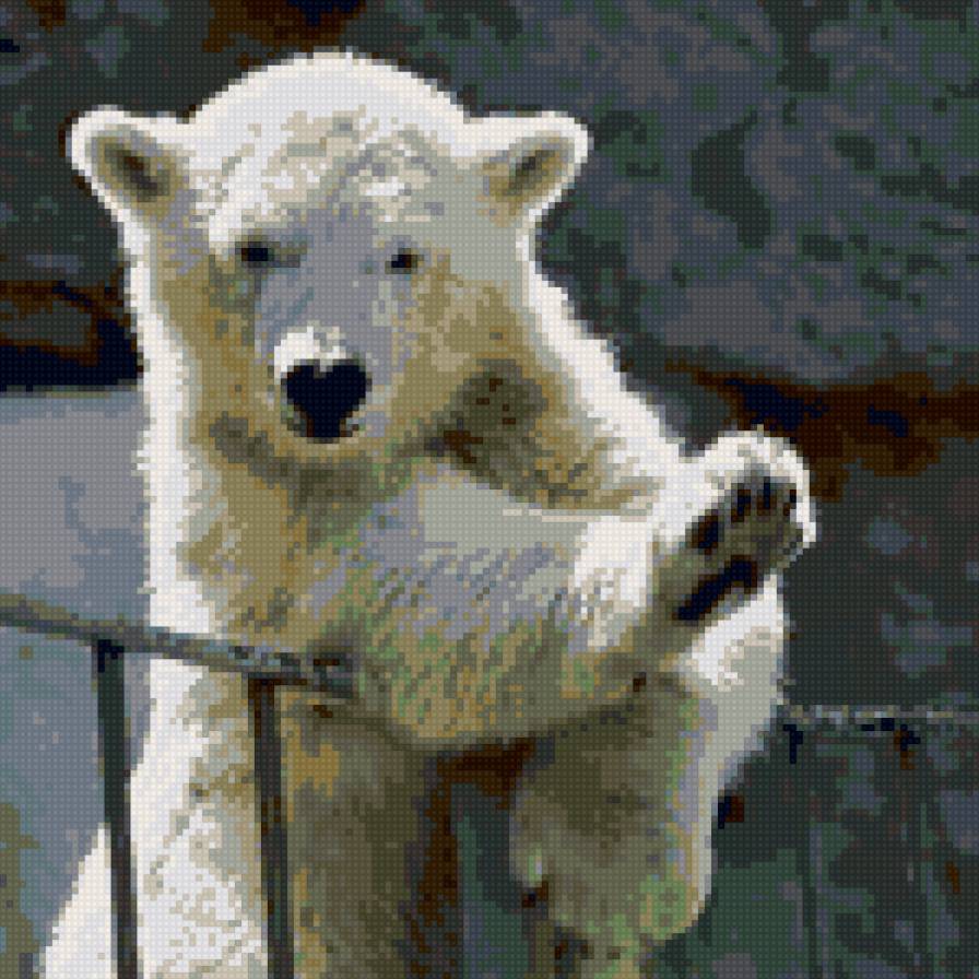 Белый медвежонок - медведи, животные - предпросмотр