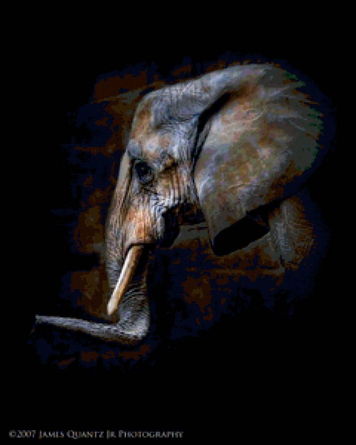 Слон - животные, слоны - предпросмотр