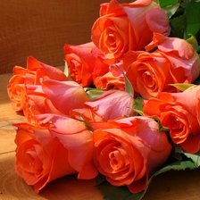 Схема вышивки «hjps»