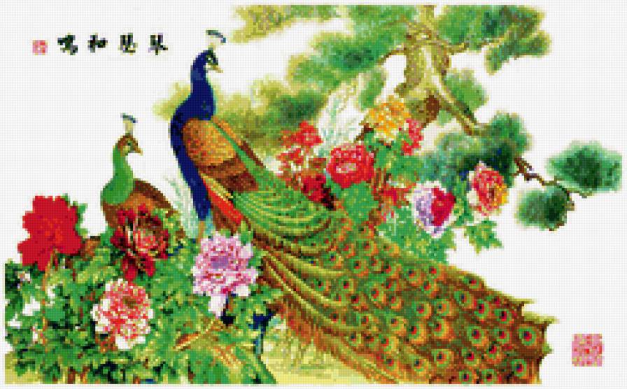 Павлины - природа, птицы - предпросмотр