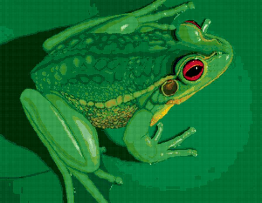 Серия "Лягушки" 9 - предпросмотр