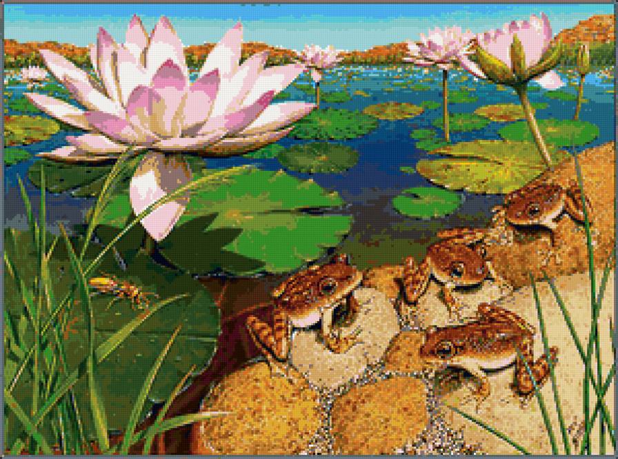 Серия "Лягушки" 13 - предпросмотр