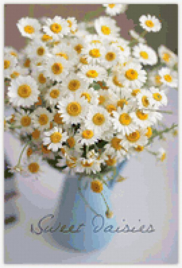 ромашки - цветы, ромашки - предпросмотр