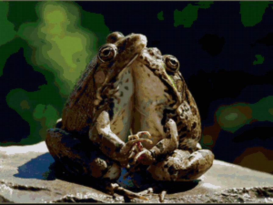 Серия "Лягушки" 18 - предпросмотр