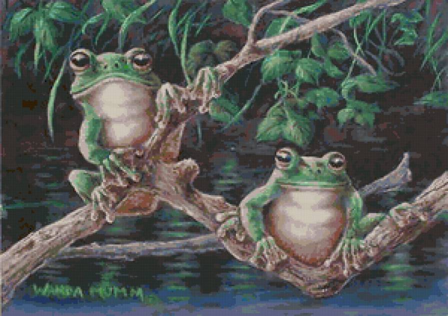 Серия "Лягушки" 19 - предпросмотр