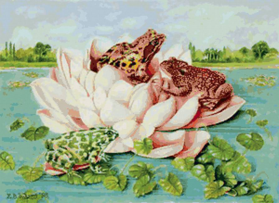 Серия "Лягушки" 20 - предпросмотр