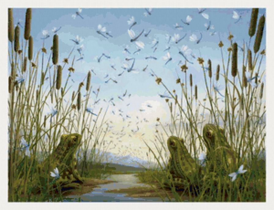 Серия "Лягушки" 24 - предпросмотр