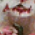 Предпросмотр схемы вышивки «№126323»
