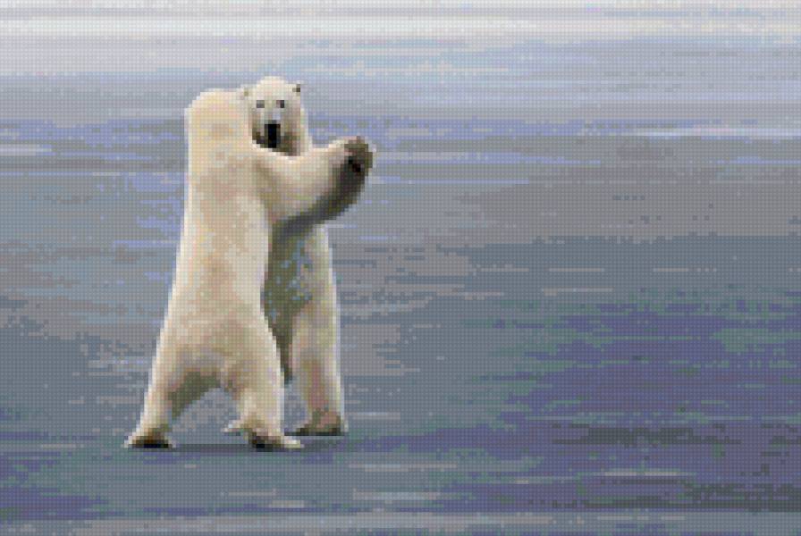 Белый танец. Дамы приглашают кавалеров. - медведи, зима, животные - предпросмотр