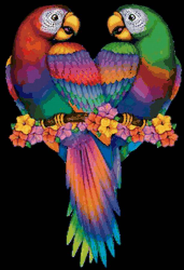 Попугаи - птицы, живопись - предпросмотр