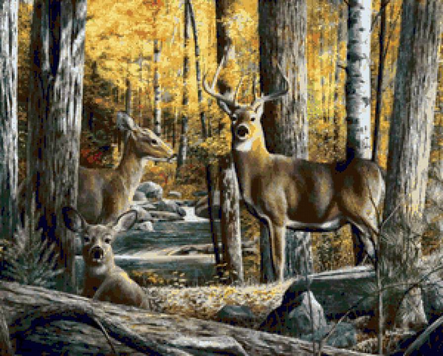 Олени - осень, пейзаж, олень, животные, олени, природа, олененок - предпросмотр