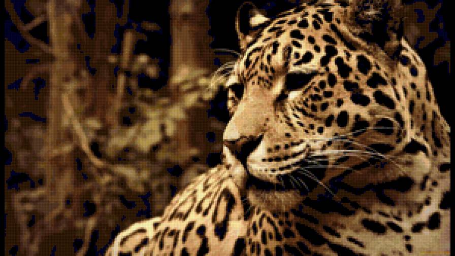 Серия "Дикие кошки" Леопард - хищники, дикая кошка, животные, леопард - предпросмотр