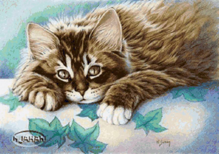 Котик - животные, кошечки, кошки, котята, кот, коты, кошка - предпросмотр