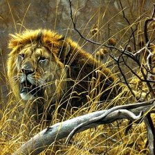 Схема вышивки «Саванна»