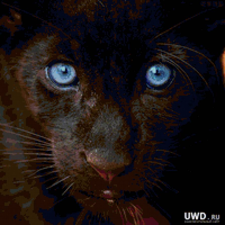 Чёрная пантера - кошки, животные - предпросмотр