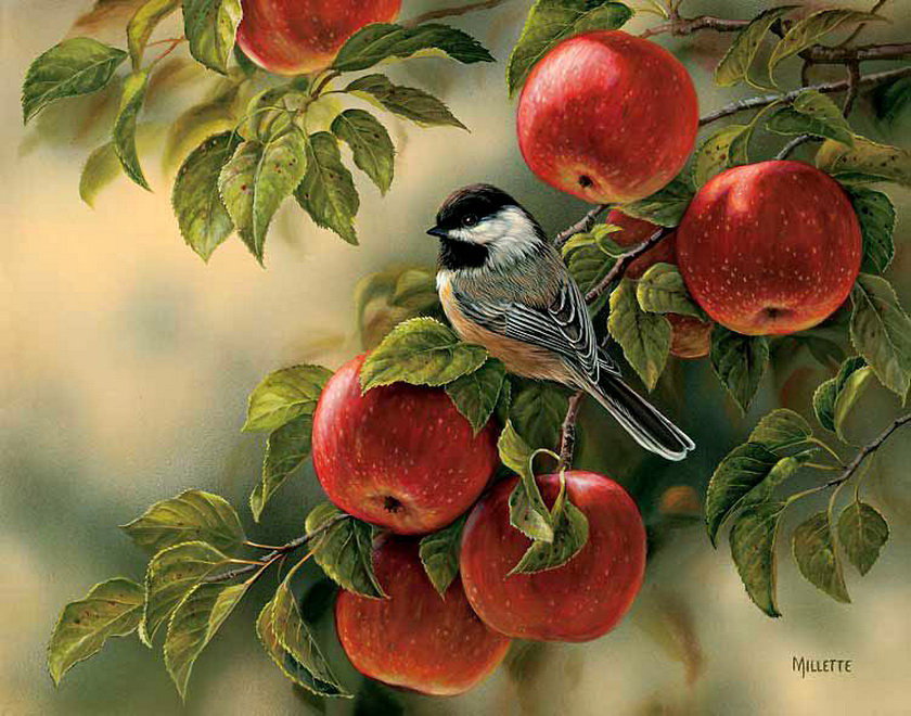 В саду - яблоки, пейзаж, птицы, живопись - оригинал