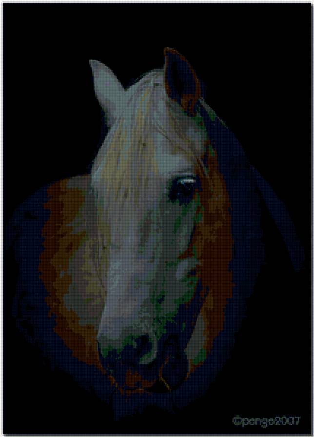 Белая лошадь - животные, лошади - предпросмотр