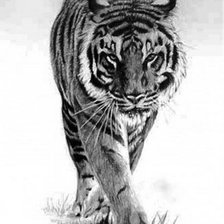 Схема вышивки «Тигра 2»