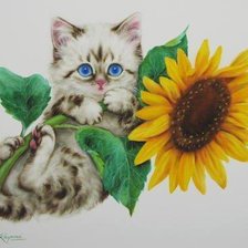 Схема вышивки «Котенок на подсолнухе»