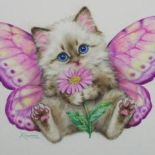 Котенок-бабочка