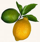 два лимона - для кухни, цытрусы, лимоны, фрукты - оригинал